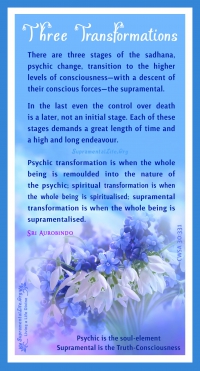 Three Transformation.jpg